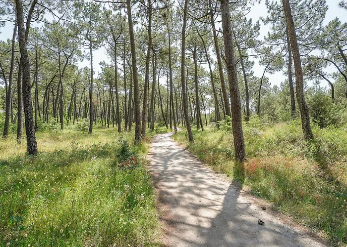 Stunning In 度假居