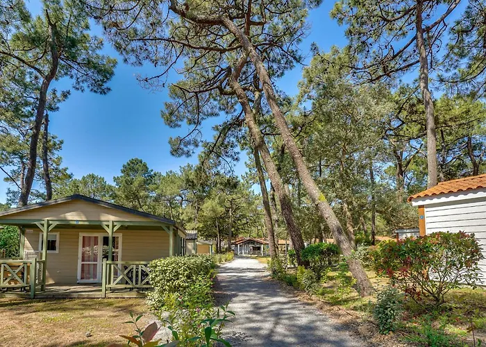 Stunning In 度假居 滨海拉福特